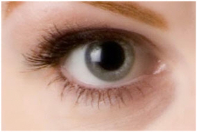 Dilated Pupils Body Language
